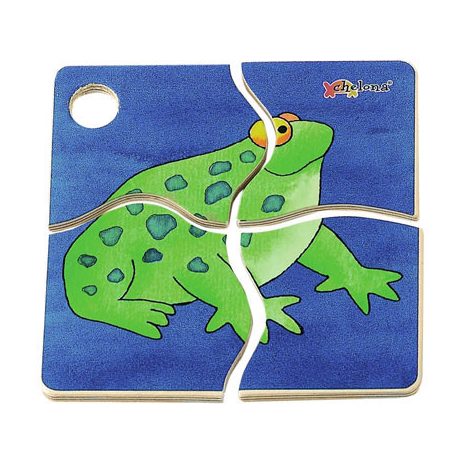Mini Discovery Puzzle: Frog