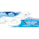 Smart Games Északi Sark Expedíció