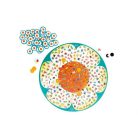 Zümmögő bogarak társasjáték