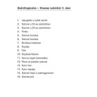 LOGICO Piccolo Számfogócska 20-as számkör 2. rész