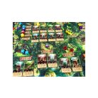 Quetzal - A szent madarak városa társasjáték