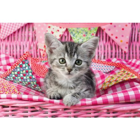 Schmidt Spiele My cutest baby animals, 3x48 db (56361) Gyerek kirakó 