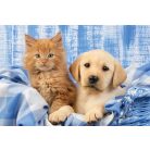 Schmidt Spiele My cutest baby animals, 3x48 db (56361) Gyerek kirakó 