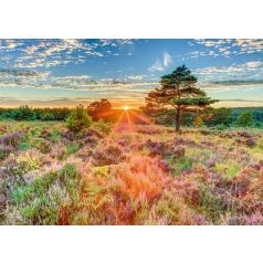Schmidt Spiele Sunset on the heath 1000 db (59768) Kirakó 