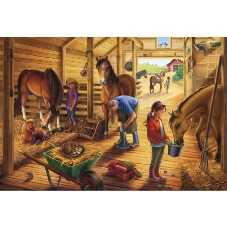 Schmidt Spiele My favourite horses (56519) 3x48 db  Gyerek kirakó 