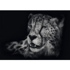   Schmidt Spiele Speed-Cheetah, the epitome of grace (58542) 1000 db  Kirakó 