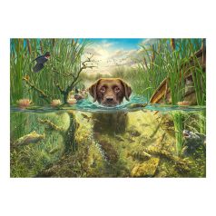   Schmidt Spiele Hundeliebe, brauner Labrador im kühlen Nass  (58572) Kirakó MARK FREDRICKSON 1000 db 